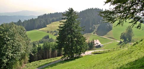 Bild Pfänder Bregenz